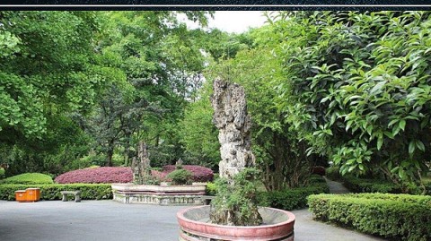 标题：88㎡复古法式，90后夫妻与两只猫的共生之家